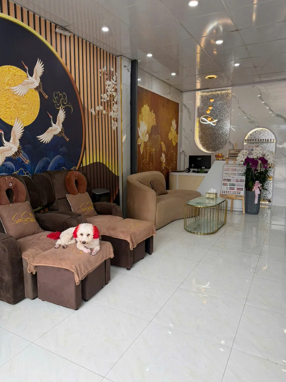 Sam Spa photo 2