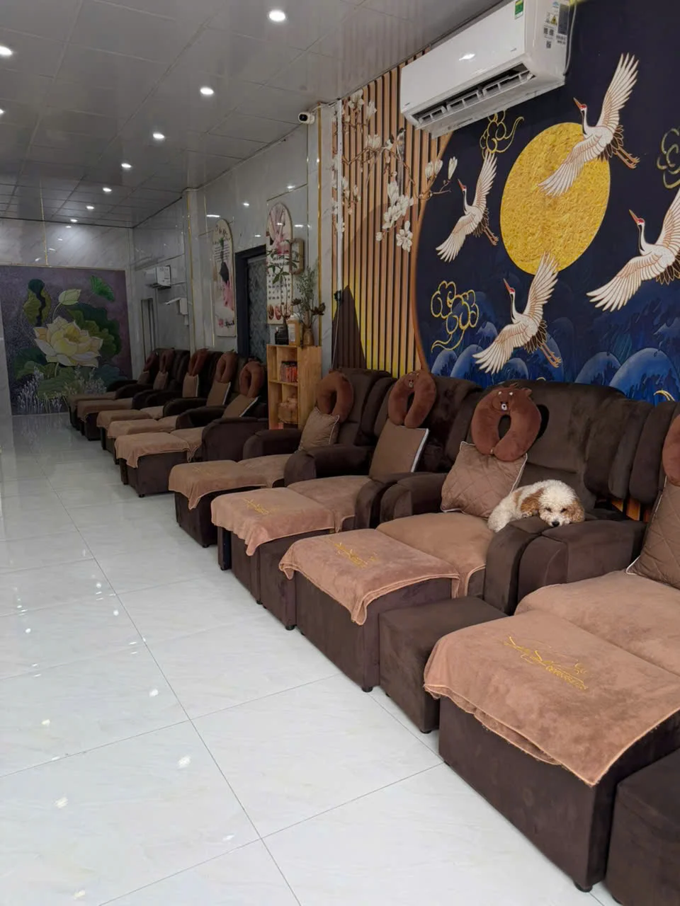 Sam Spa photo 4